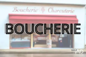 Commercial in MAGNY-EN-VEXIN (95420)