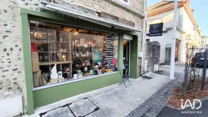 Commercial in ARTIX (64170)