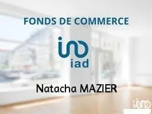 Commercial in LANESTER (56600)