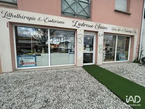 Business asset in VILLENAVE-D'ORNON (33140)