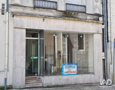 Business asset in MANTHELAN (37240)