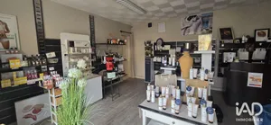 Business asset in MUSSIDAN (24400)