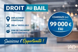 Business asset in COARRAZE (64800)