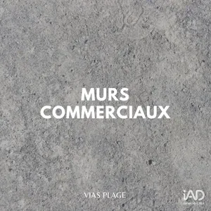 Commercial in VIAS (34450)