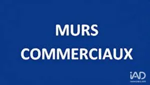 Murs commerciaux à BRUCAMPS (80690)