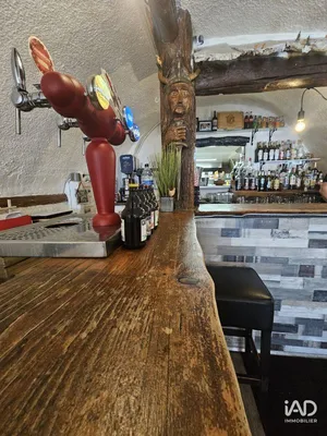 Restaurant in SAINT CREPIN (05600)