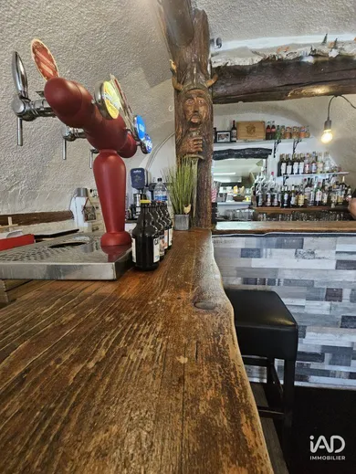 Restaurant in SAINT CREPIN (05600)