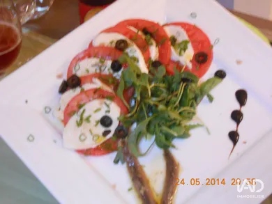 Hôtel-restaurant à PERPIGNAN (66000)