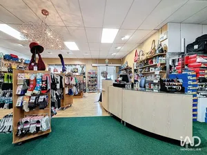 Commercial in NAZELLES-NÉGRON (37530)