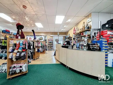 Commercial in NAZELLES-NÉGRON (37530)