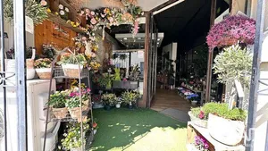 Boutique/Local commercial à CASTRIES (34160)