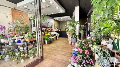 Boutique/Local commercial à CASTRIES (34160)