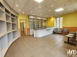 Business asset in DUNIÈRES (43220)