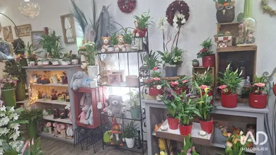 Commercial walls in AMÉLIE-LES-BAINS-PALALDA (66110)