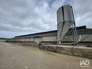 Business asset in DANGÉ-SAINT-ROMAIN (86220)