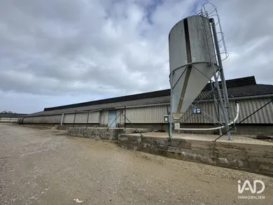 Local d’activité à DANGÉ-SAINT-ROMAIN (86220)