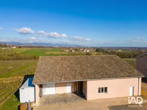 Business asset in ARNAS (69400)