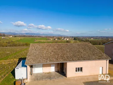 Business asset in ARNAS (69400)