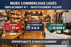 Commercial walls in LA FLOTTE (17630)