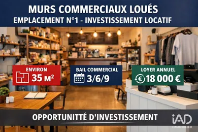 Commercial walls in LA FLOTTE (17630)