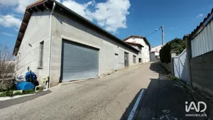 Business asset in SAINT-JEAN-BONNEFONDS (42650)