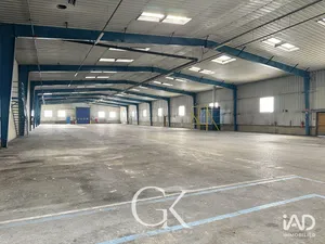 Local d’activité à SAINT-ANDRÉ-LE-GAZ (38490)