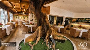 Restaurant in SAINT-PIERRE (97410)