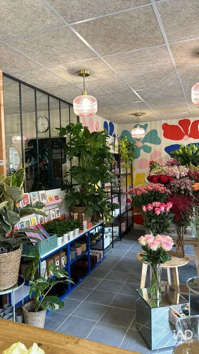 Commercial in FRANCONVILLE (95130)