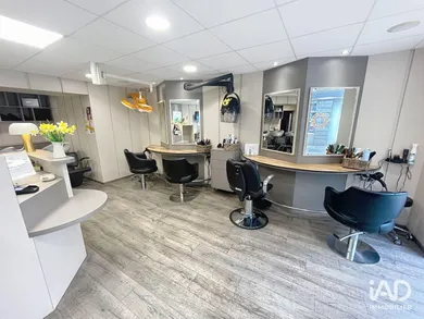 Business asset in LA GUERCHE-DE-BRETAGNE (35130)