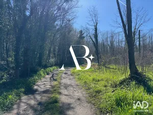 Terrain à SAINT-SELVE (33650)