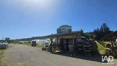 Murs commerciaux à LORGUES (83510)