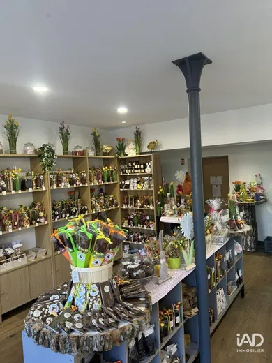 Commercial in ROCHEFORT-MONTAGNE (63210)