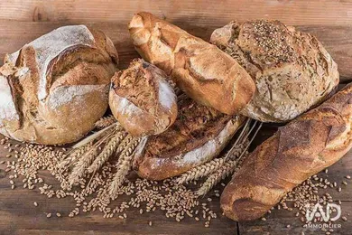 Bakery in URY (77760)