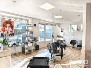 Business asset in TERRASSON-LAVILLEDIEU (24120)