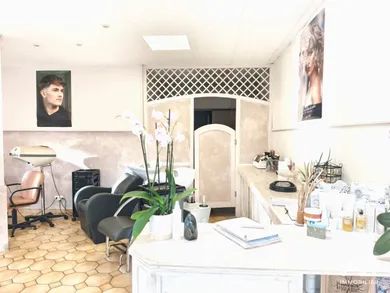Business asset in TERRASSON-LAVILLEDIEU (24120)
