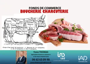 Commercial walls in TOULOUSE (31400)