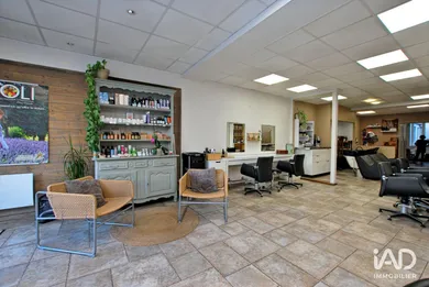 Commercial in BRIARE (45250)