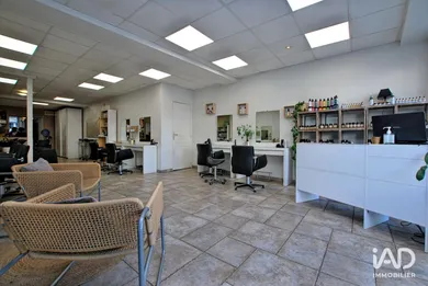 Commercial in BRIARE (45250)