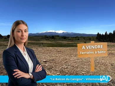 Terrain à VILLEMOLAQUE (66300)