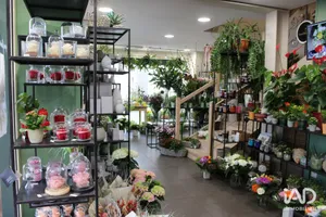 Boutique/Local commercial à TIERCÉ (49125)
