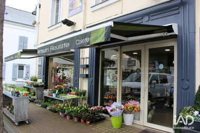 Murs commerciaux à TIERCÉ (49125)