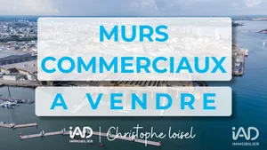 Business asset in LORIENT (56100)