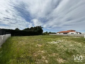 Terrain à LAROQUE-DES-ALBÈRES (66740)
