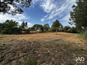 Land in MONTESQUIEU-DES-ALBÈRES (66740)