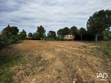 Land in MONTESQUIEU-DES-ALBÈRES (66740)