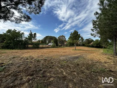 Land in MONTESQUIEU-DES-ALBÈRES (66740)