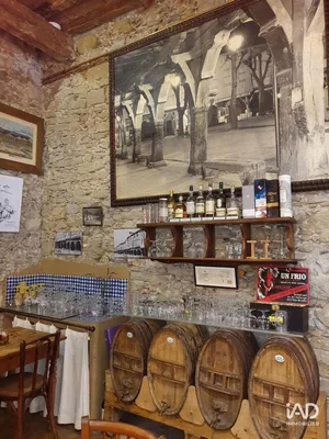 Hôtel 4* à MIREPOIX (09500)