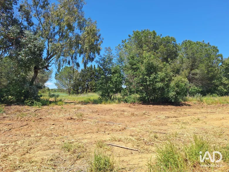 Terrain à LATOUR-BAS-ELNE (66200) · 305 000 €