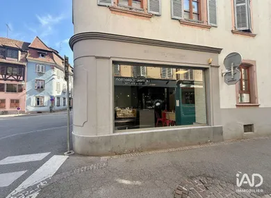 Local d’activité à SELESTAT (67600)