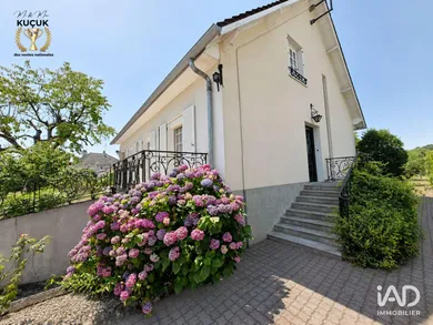 Maison à SAINT-PÈRE-SUR-LOIRE (45600)